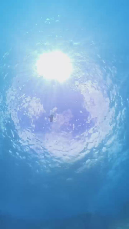Onderwaterscooter seascooter WS3